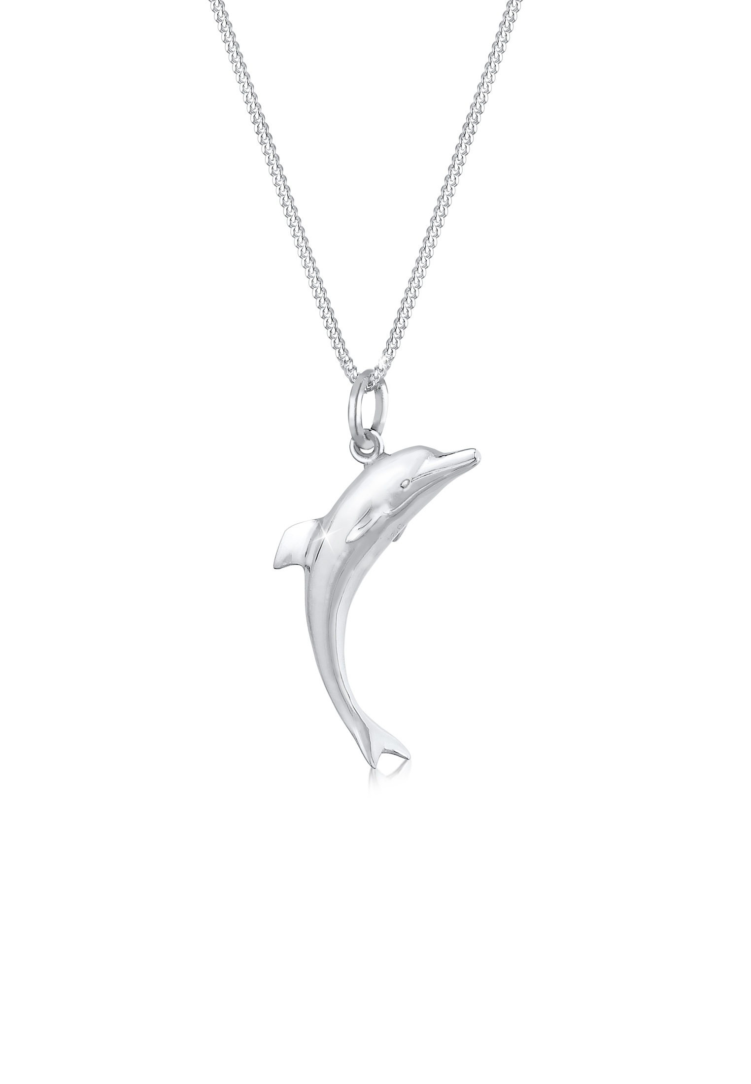 Halskette Delfin | 925er Sterling Silber