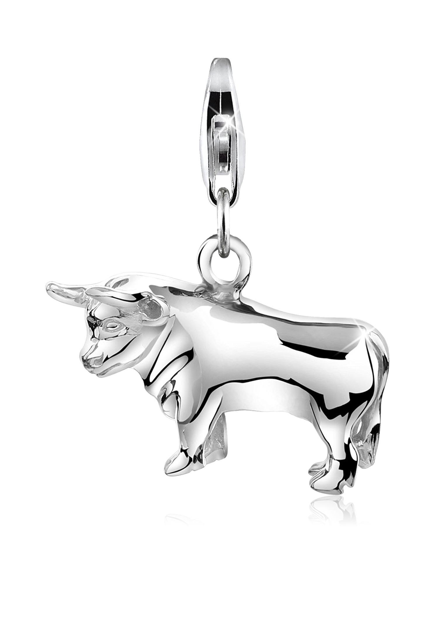 Charm Sternzeichen | 925er Sterling Silber